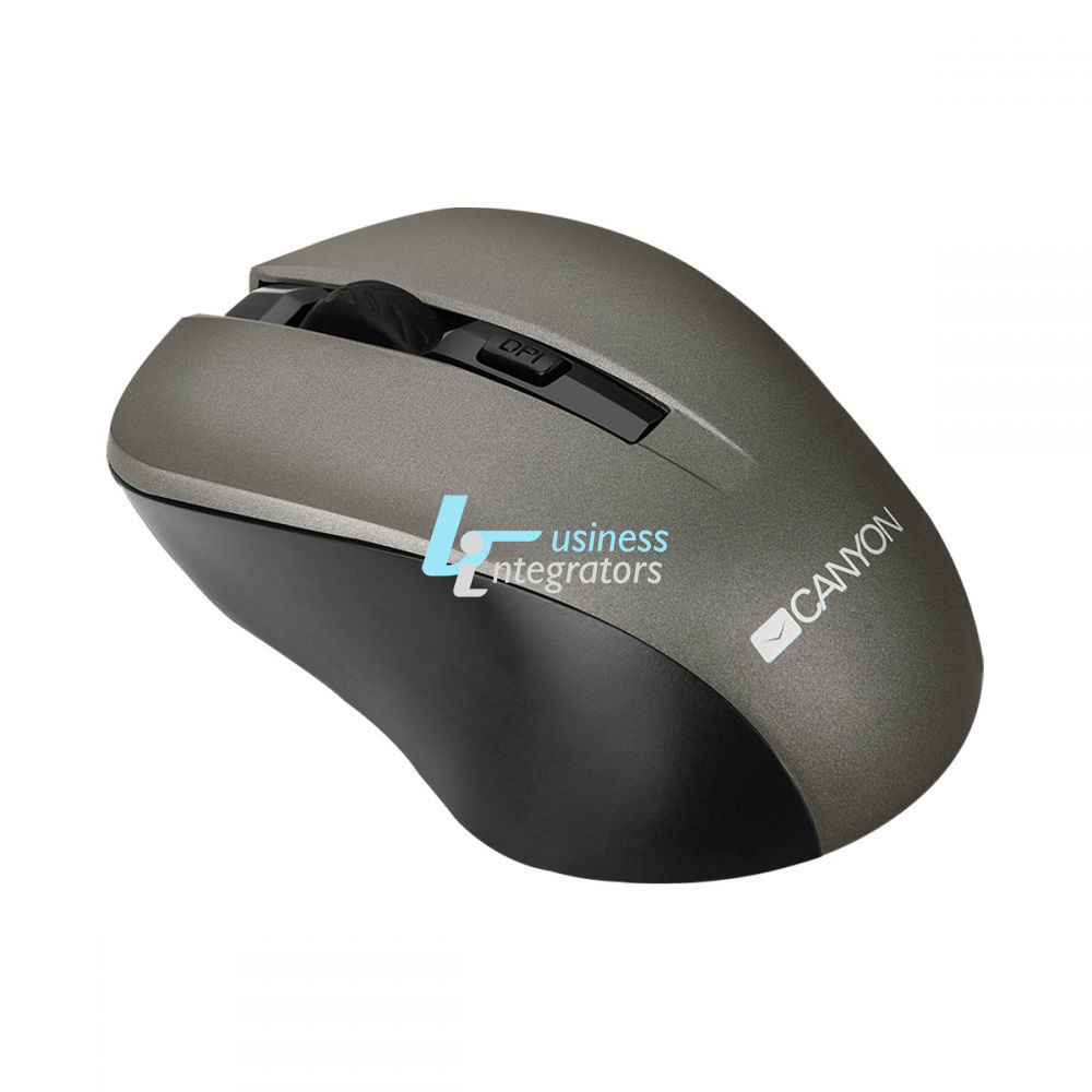 Ποντίκι Canyon Simple coloured Ποντίκι Grey (CNE-CMSW1G)