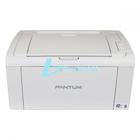 Εκτυπωτής Pantum Mono Laser P2509W (P2509W)